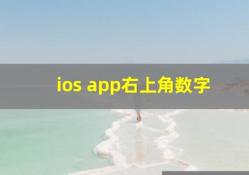 ios app右上角数字